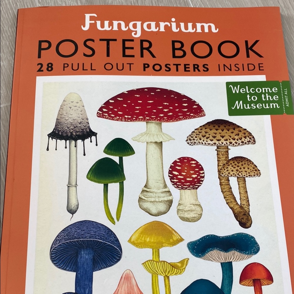 Red and Green Mushroom Art Poster